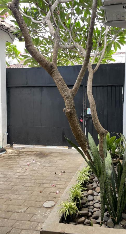 Chic And Cozy Studio Canggu Eksteriør bilde